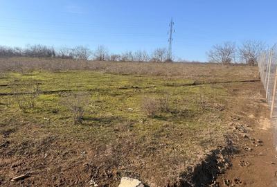 Teren de 1000 mp, în Exterior Vest - 2