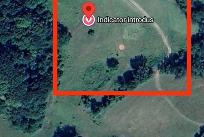 Teren de 18000 mp, în Mihăileni - 2