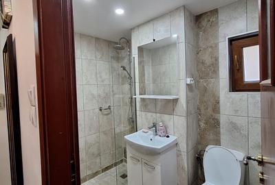 Garsoniera bd Decebal/Piata Alba Iulia Garsoniera bd Decebal/Piata Alba Iulia - 2