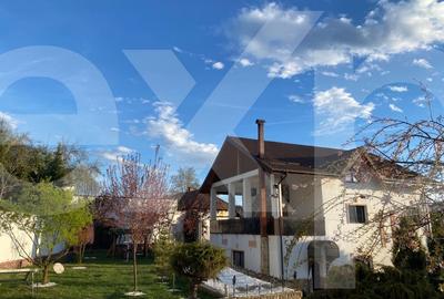 Domeniu de vanzare, Baile Govora(Pausesti-Otasau) cu teren de 20875mp - 11