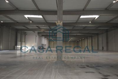 Hală industrială 7100mp – locație strategică - Biharia - zona metropolitană - 14
