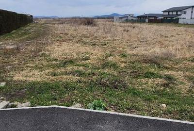 Spațiu comercial, în Stupini - 3