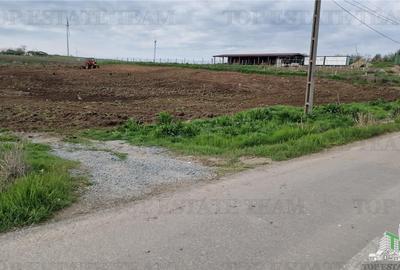 Teren Construcții intravilan de 5600 mp, în Pantelimon - 4