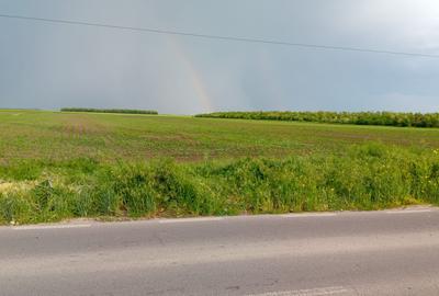 Teren Construcții extravilan de 27800 mp, în Petrăchioaia - 3
