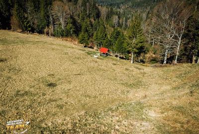 Teren Construcții intravilan de 5800 mp, în Ojdula - 22