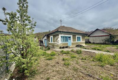 Casă cu 4 camere cu Teren 721 Mp în Bucium