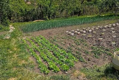 Casă cu 2 camere cu Teren 800 Mp în Cornești (Crăciunești) - 3