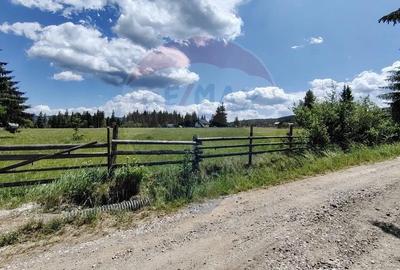 Teren de 9685 mp, în Neagra - 4