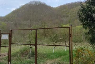 Teren de 3100 mp, în Boz - 2