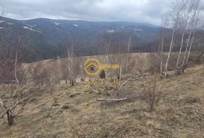 Teren de 2025 mp, în Rășinari - 2