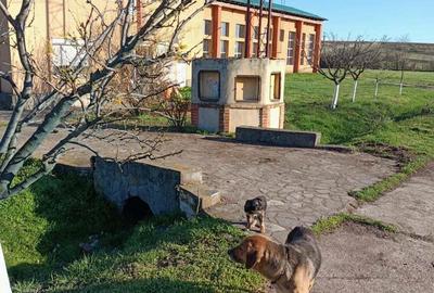 Spațiu comercial, de 1,402 mp, în Recea - 2