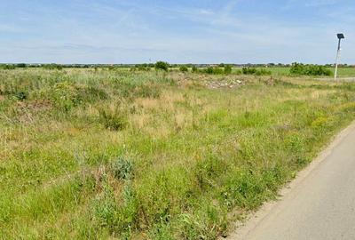 Teren intravilan 16 ha, tangent DR4, acces dublu la asfalt - 5