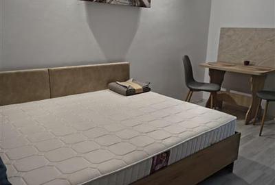Garsonieră semidecomandată în Griviței - 6