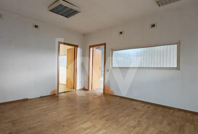 Spațiu industrial, de 216 mp, în Turnișor - 3