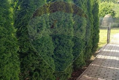 Casă cu 7 camere cu Teren 1183 Mp în Central - 16