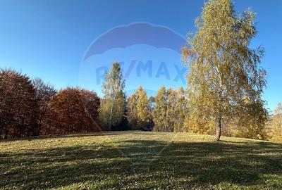 Teren de 125370 mp, în Peștera