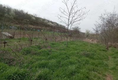 Casă cu 3 camere cu Teren 4700 Mp în Varlaam - 1