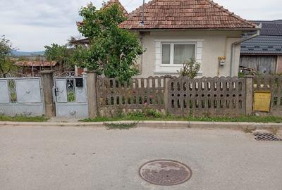 Casă cu 2 camere în Urișor - 6