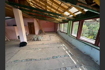 Apartament la casa, necesita compartimentare, terasa de 30 mp - 4