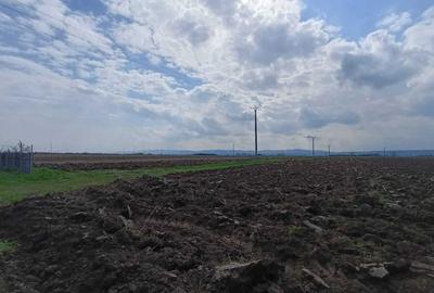 Teren de 6000 mp, în Bogdan Vodă - 2