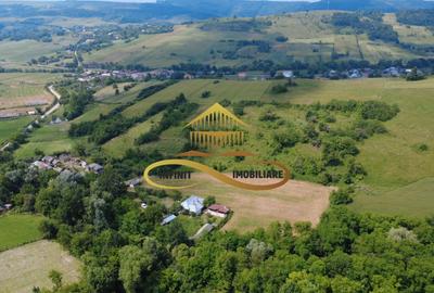 Casa batraneasca cu 2ha de teren de vanzare in sat Balaia / Bacau - 28