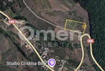 Teren Construcții intravilan de 7000 mp, în Groși - 3