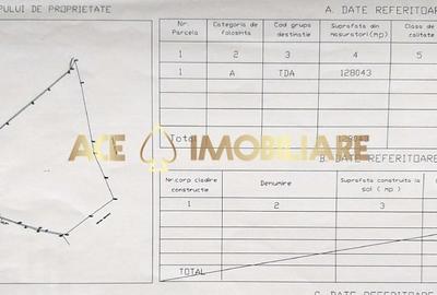 Teren Extravilan | Tartasesti - Bildana | Investitie | 27 HA - 3
