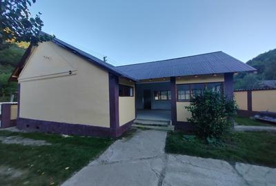 Gospodarie lângă Deva - 3