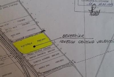 Teren 15000 mp Vernesti, Buzau cu PUZ - 8