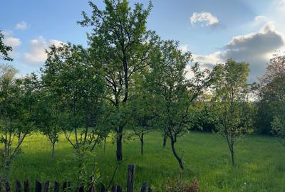 Spațiu comercial, în Brebu - 5