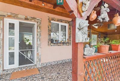 Casa spa?ioasa cu gradina in Topolova?u Mare - 1