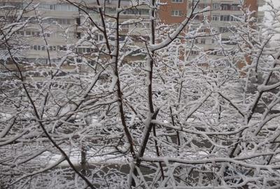 Apartament cu 3 camere decomandat în Mazepa 2 - 7