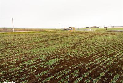 Spațiu comercial, în Roit - 6