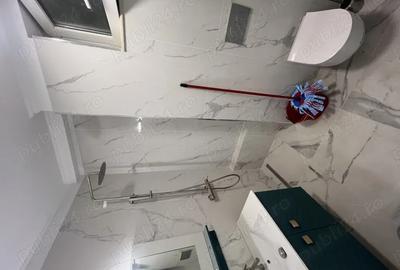 De inchiriat casa Str. Bucegi. Timi?oara - 5