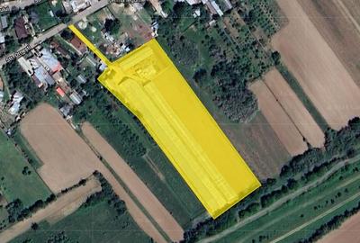 Investitie sigura! Vanzare ferma de legume care merge in plin! - 11