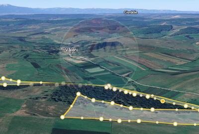 Teren agricol extravilan de 117100 mp, în Jibert - 5