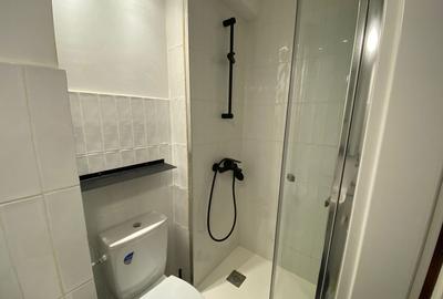 Garsonieră modernă, ultracentrală - zona Alba Iulia / Decebal / SL1 Garsonieră modernă, ultracentrală - zona Alba Iulia / Decebal / SL1 - 6