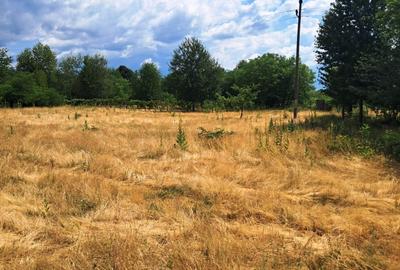 Teren Construcții intravilan de 2478 mp, în Polovragi - 3