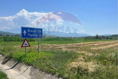 Oportunitate Unica de Investi?ie 14.800 mp Teren St... - 3