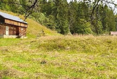 Teren de 4080 mp, în Valea Doftanei - 5