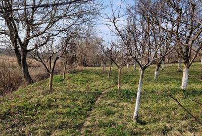 Teren Construcții intravilan de 1059 mp, în Roman - 5