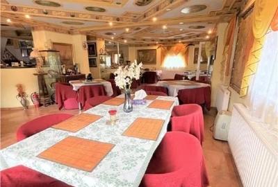 Pensiune complet utilată în Predeal, teren de tenis, garaj 4 mașini - 8