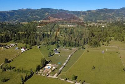 Teren de 9685 mp, în Neagra - 11