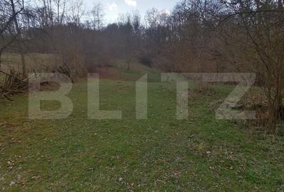 Teren intravilan 2900 mp in Zona Presaca Ampoiului - 3