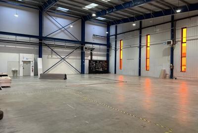 Hala clasa A / Autorizatie ISU /  Ideal productie - 4