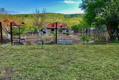 Casă cu 4 camere cu Teren 5000 Mp în Central
