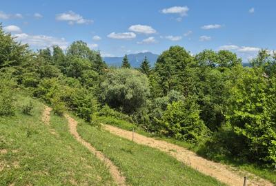 Teren agricol extravilan de 7800 mp, în Tohanu Nou