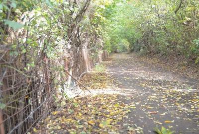 Teren intravilan Brasov-Schei - 5