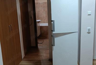 Apartament cu 2 camere decomandat în Nufărul - 3