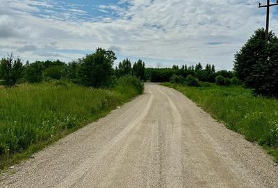 Teren de 3700 mp, în Gavojdia - 4